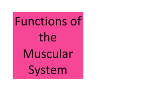 Functions of
the
Muscular
System
 