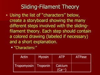 Sliding-Filament Theory Using the list of “characters” below, create a storyboard showing the many different steps involved with the sliding-filament theory. Each step should contain a colored drawing (labeled if necessary) and a short explanation. “ Characters:” Calcium (Ca ++ ) Troponin Tropomyosin ATPase ATP Myosin Actin 