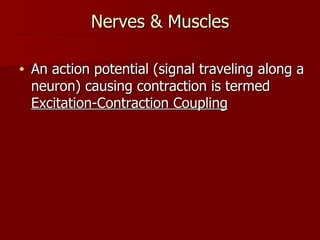 Nerves & Muscles An action potential (signal traveling along a neuron) causing contraction is termed  Excitation-Contraction Coupling 