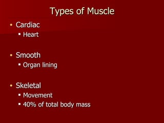 Types of Muscle Cardiac Heart Smooth Organ lining Skeletal Movement 40% of total body mass 