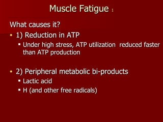 Muscle Fatigue  1 What causes it? 1) Reduction in ATP Under high stress, ATP utilization  reduced faster than ATP production 2) Peripheral metabolic bi-products Lactic acid H (and other free radicals) 
