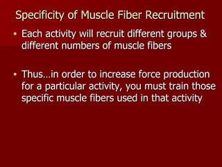 Specificity of Muscle Fiber Recruitment Each activity will recruit different groups & different numbers of muscle fibers Thus…in order to increase force production for a particular activity, you must train those specific muscle fibers used in that activity 