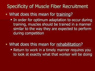 Specificity of Muscle Fiber Recruitment What does this mean for  training ? In order for optimum adaptation to occur during training, muscles should be trained in a manner similar to the way they are expected to perform during competition What does this mean for  rehabilitation ? Return to work in a timely manner requires you to look at exactly what that worker will be doing 