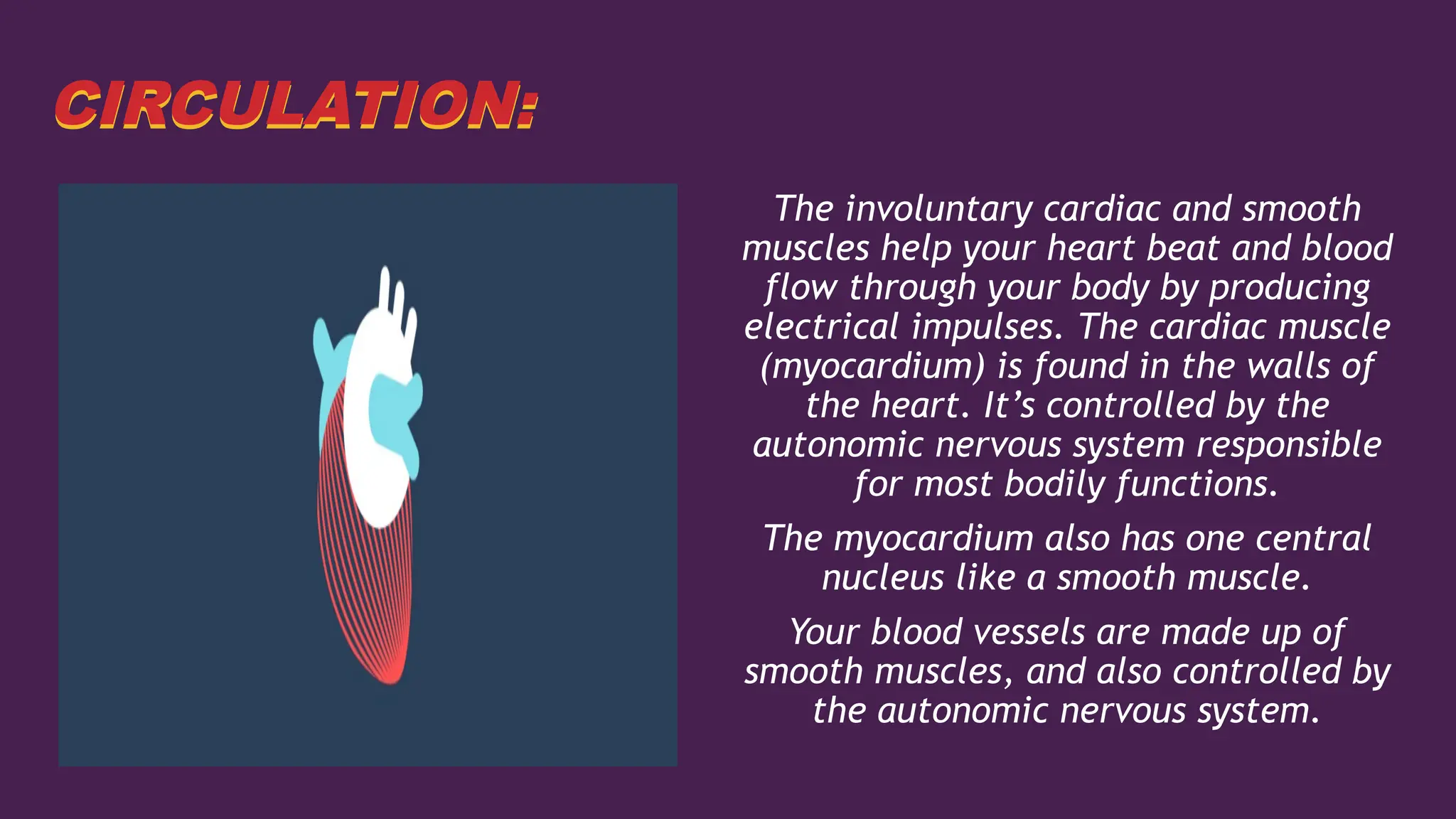 Heart Involuntary SYSTEM OF MUSCULAR SYSTEM OF MUSCULARSYSTEM OF MUSCULAR | PPTX