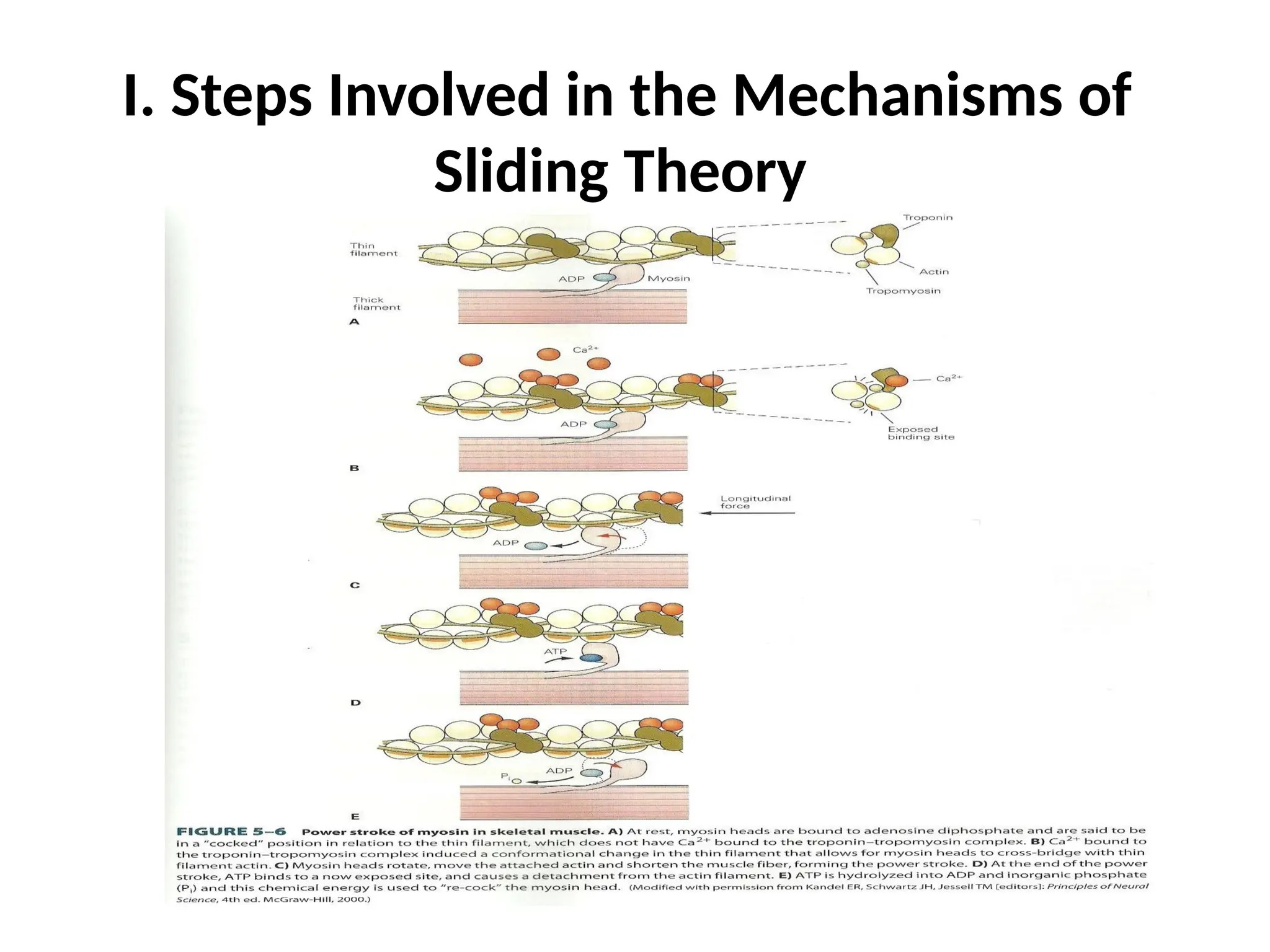 I. Steps Involved in the Mechanisms of
Sliding Theory
 