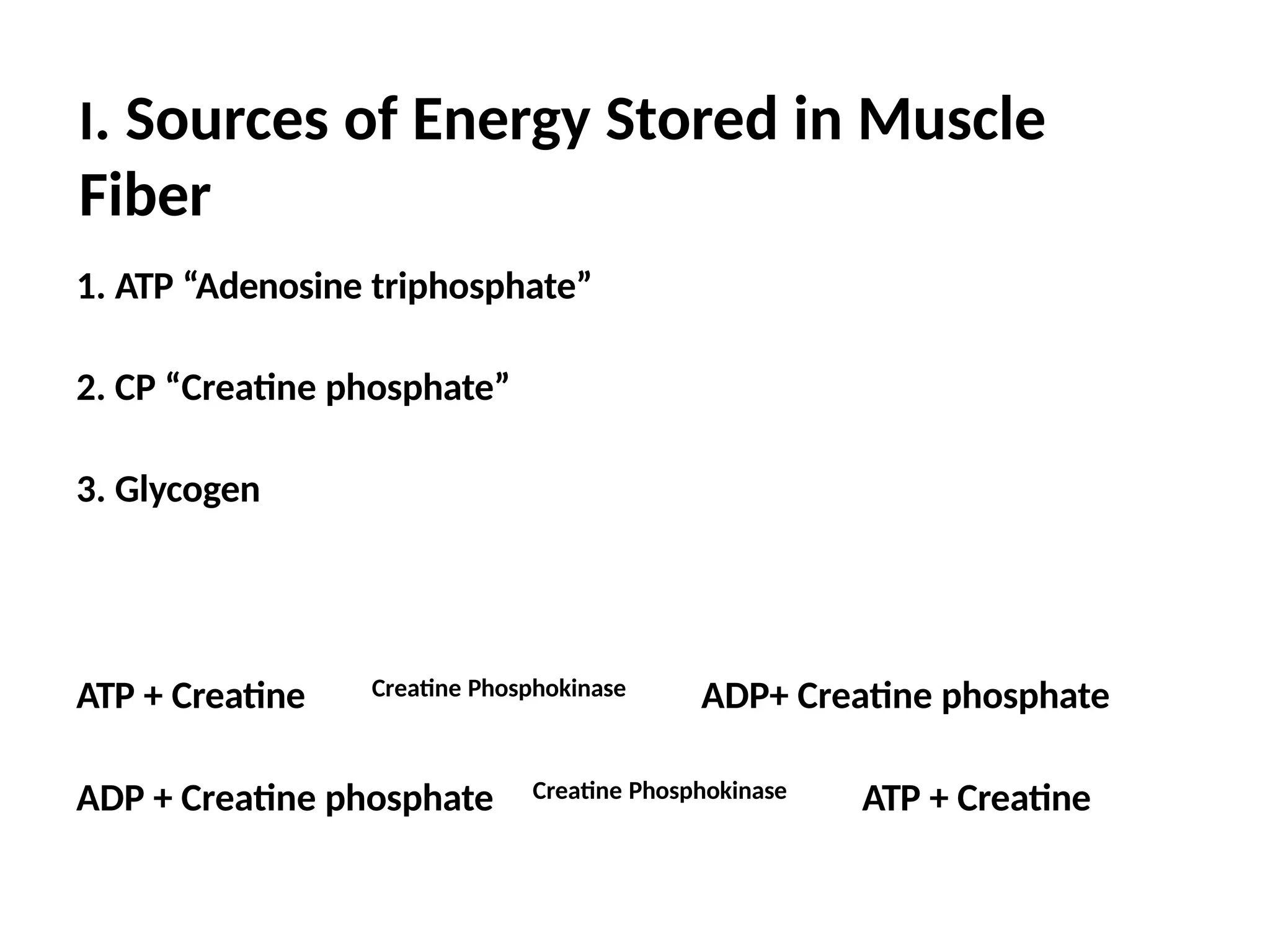 I. Sources of Energy Stored in Muscle
Fiber
1. ATP “Adenosine triphosphate”
2. CP “Creatine phosphate”
3. Glycogen
ATP + Creatine Creatine Phosphokinase ADP+ Creatine phosphate
ADP + Creatine phosphate Creatine Phosphokinase ATP + Creatine
 