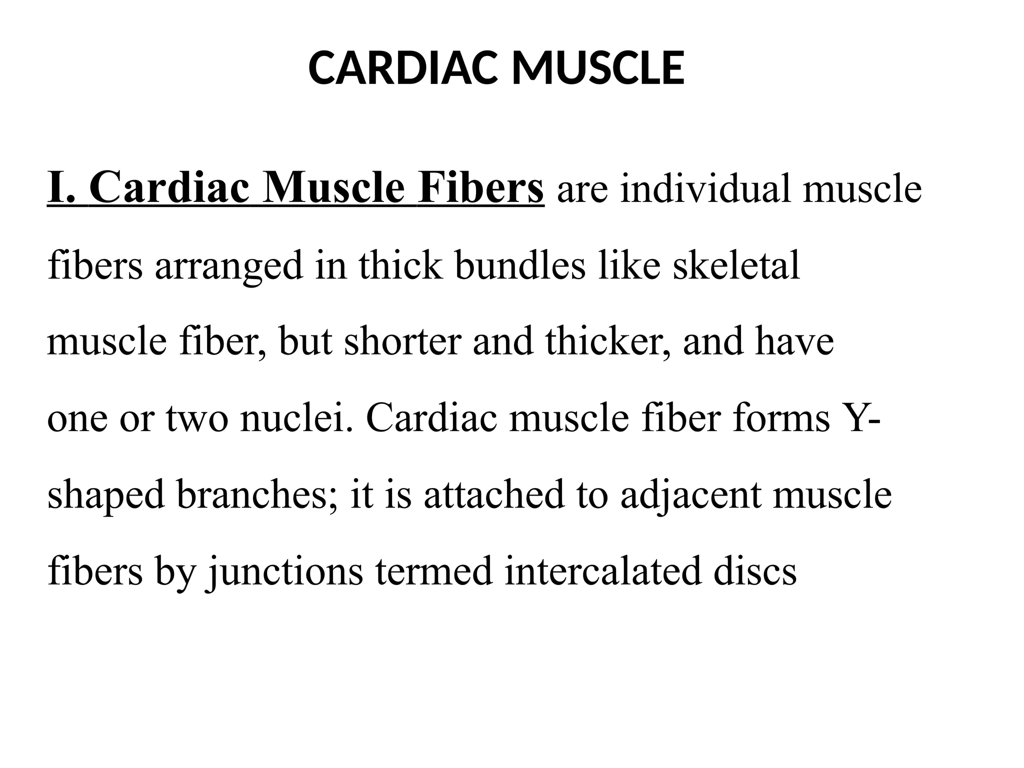 CARDIAC MUSCLE
I. Cardiac Muscle Fibers are individual muscle
fibers arranged in thick bundles like skeletal
muscle fiber, but shorter and thicker, and have
one or two nuclei. Cardiac muscle fiber forms Y-
shaped branches; it is attached to adjacent muscle
fibers by junctions termed intercalated discs
 