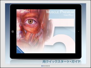 Muscle Premium (日本の)