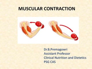 MUSCULAR CONTRACTION
Dr.B.Premagowri
Assistant Professor
Clinical Nutrition and Dietetics
PSG CAS
 