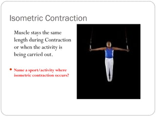 Isometric Contraction
Muscle stays the same
length during Contraction
or when the activity is
being carried out.
 Name a sport/activity where

isometric contraction occurs?

 