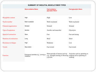 SUMMARY OF SKELETAL MUSCLE FIBER TYPES
Slow oxidative fibers

Fast oxidativeglycolytic fibers

Fast glycolytic fibers

Myoglobin content

High

High

Low

Nuclei number

Multi nucleated

Multi nucleated

Multi nucleated

Filament organization

Striated

Striated

Striated

Type of respiration

Aerobic

Aerobic and anaerobic

Glycolysis

Speed of contraction

Slow

Fast

Fast and strong

Duration of contraction

Long

Brief

Short

Resistance to fatigue

High

Moderate

Low

Twitch

Slow twitch

Fast twitch

Fast twitch

Function

Endurance activities e.g., running a
marathon

Short periods of intense activity Activities such as sprinting or
e.g., strength training or throwing walking uch as sprinting or
a javelin
walking

 