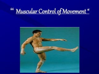 “ Muscular Control of Movement “
 