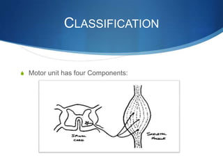 CLASSIFICATION


S Motor unit has four Components:
 