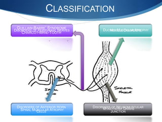 CLASSIFICATION
 GUILLIAN-BARRE’ SYNDROME             DUCHEN MUSCULAR ATROPHY
DISORDERS OF PERIPHERAL NERVES           MUSCLE DISORDERS
   CHARCOT-MRIE-TOOTH




 DISORDERS OF ANTERIOR HORN      DISORDERS OF NEUROMUSCULAR
                                      MYASTHENIA GRAVIS
   SPINAL MUSCULAR ATROPHY
            CELLS                         JUNCTION
 