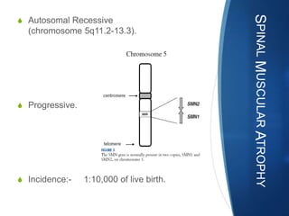 SPINAL MUSCULAR ATROPHY
S Autosomal Recessive
  (chromosome 5q11.2-13.3).




S Progressive.




S Incidence:-    1:10,000 of live birth.
 