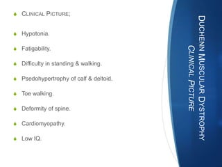 S CLINICAL PICTURE;




                                        DUCHENN MUSCULAR DYSTROPHY
S Hypotonia.




                                              CLINICAL PICTURE
S Fatigability.

S Difficulty in standing & walking.

S Psedohypertrophy of calf & deltoid.

S Toe walking.

S Deformity of spine.

S Cardiomyopathy.

S Low IQ.
 