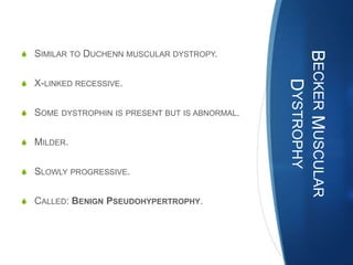S SIMILAR TO DUCHENN MUSCULAR DYSTROPY.




                                                BECKER MUSCULAR
S X-LINKED RECESSIVE.




                                                   DYSTROPHY
S SOME DYSTROPHIN IS PRESENT BUT IS ABNORMAL.


S MILDER.


S SLOWLY PROGRESSIVE.


S CALLED: BENIGN PSEUDOHYPERTROPHY.
 