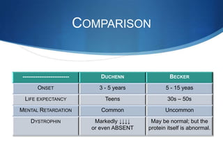 COMPARISON


 -------------------------        DUCHENN                BECKER

         ONSET                   3 - 5 years           5 - 15 yeas

  LIFE EXPECTANCY                  Teens                30s – 50s

MENTAL RETARDATION                Common               Uncommon

     DYSTROPHIN                 Markedly ↓↓↓↓    May be normal; but the
                               or even ABSENT   protein itself is abnormal.
 