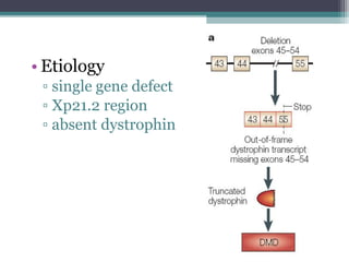 • Etiology
▫ single gene defect
▫ Xp21.2 region
▫ absent dystrophin
 