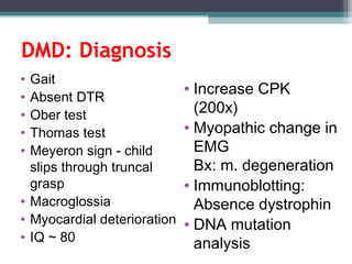 DMD: Diagnosis
• Gait
• Absent DTR
• Ober test
• Thomas test
• Meyeron sign - child
slips through truncal
grasp
• Macroglossia
• Myocardial deterioration
• IQ ~ 80
• Increase CPK
(200x)
• Myopathic change in
EMG
Bx: m. degeneration
• Immunoblotting:
Absence dystrophin
• DNA mutation
analysis
 