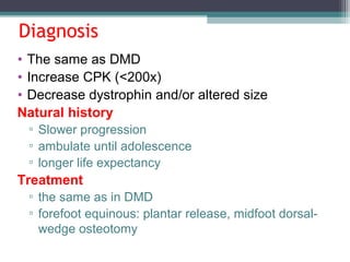 Diagnosis
• The same as DMD
• Increase CPK (<200x)
• Decrease dystrophin and/or altered size
Natural history
▫ Slower progression
▫ ambulate until adolescence
▫ longer life expectancy
Treatment
▫ the same as in DMD
▫ forefoot equinous: plantar release, midfoot dorsal-
wedge osteotomy
 