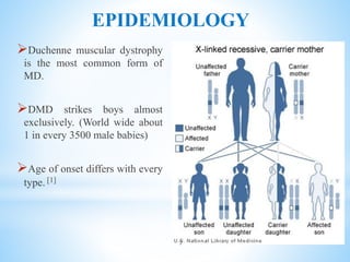 EPIDEMIOLOGY
Duchenne muscular dystrophy
is the most common form of
MD.
DMD strikes boys almost
exclusively. (World wide about
1 in every 3500 male babies)
Age of onset differs with every
type. [1]
7
 