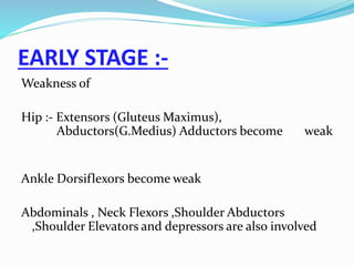 EARLY STAGE :-
Weakness of
Hip :- Extensors (Gluteus Maximus),
Abductors(G.Medius) Adductors become weak
Ankle Dorsiflexors become weak
Abdominals , Neck Flexors ,Shoulder Abductors
,Shoulder Elevators and depressors are also involved
 
