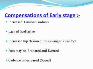 Compensations of Early stage :-
 Increased Lumbar Lordosis
 Lack of heel strike
 Increased hip flexion during swing to clear foot
 Foot may be Pronated and Everted
 Cadence is decreased (Speed)
 