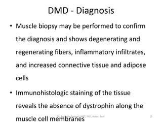 DMD - Diagnosis
• Muscle biopsy may be performed to confirm
the diagnosis and shows degenerating and
regenerating fibers, inflammatory infiltrates,
and increased connective tissue and adipose
cells
• Immunohistologic staining of the tissue
reveals the absence of dystrophin along the
muscle cell membranes
Dr. Asir John Samuel, MPT, PhD, Assoc. Prof. 13
 