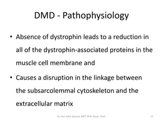 DMD - Pathophysiology
• Absence of dystrophin leads to a reduction in
all of the dystrophin-associated proteins in the
muscle cell membrane and
• Causes a disruption in the linkage between
the subsarcolemmal cytoskeleton and the
extracellular matrix
Dr. Asir John Samuel, MPT, PhD, Assoc. Prof. 15
 