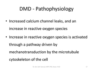 DMD - Pathophysiology
• Increased calcium channel leaks, and an
increase in reactive oxygen species
• Increase in reactive oxygen species is activated
through a pathway driven by
mechanotransduction by the microtubule
cytoskeleton of the cell
Dr. Asir John Samuel, MPT, PhD, Assoc. Prof. 17
 