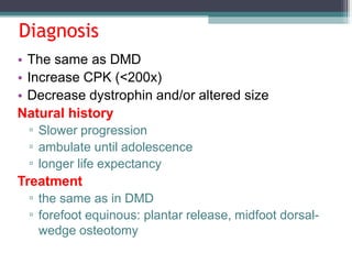 Diagnosis
• The same as DMD
• Increase CPK (<200x)
• Decrease dystrophin and/or altered size
Natural history
▫ Slower progression
▫ ambulate until adolescence
▫ longer life expectancy
Treatment
▫ the same as in DMD
▫ forefoot equinous: plantar release, midfoot dorsal-
wedge osteotomy
 