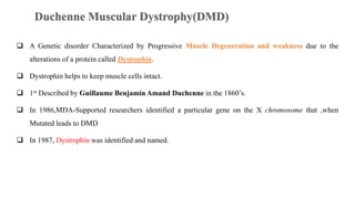  A Genetic disorder Characterized by Progressive Muscle Degeneration and weakness due to the
alterations of a protein called Dystrophin.
 Dystrophin helps to keep muscle cells intact.
 1st Described by Guillaume Benjamin Amand Duchenne in the 1860’s.
 In 1986,MDA-Supported researchers identified a particular gene on the X chromosome that ,when
Mutated leads to DMD
 In 1987, Dystrophin was identified and named.
 