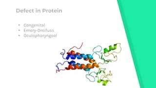 Muscular Dystrophy - A brief overview of the disease | PPTX