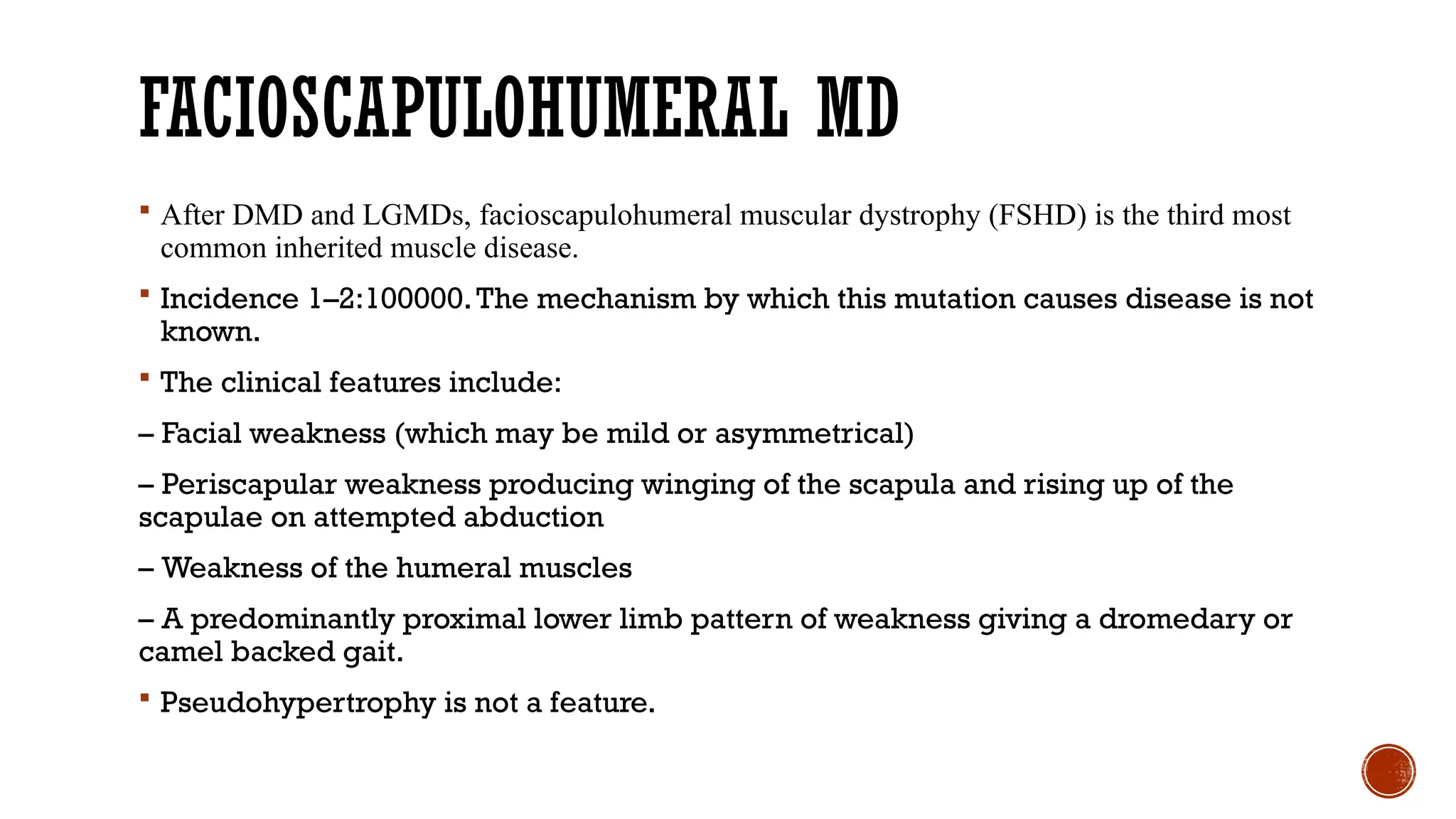 FACIOSCAPULOHUMERAL MD
 After DMD and LGMDs, facioscapulohumeral muscular dystrophy (FSHD) is the third most
common inherited muscle disease.
 Incidence 1–2:100000.The mechanism by which this mutation causes disease is not
known.
 The clinical features include:
– Facial weakness (which may be mild or asymmetrical)
– Periscapular weakness producing winging of the scapula and rising up of the
scapulae on attempted abduction
– Weakness of the humeral muscles
– A predominantly proximal lower limb pattern of weakness giving a dromedary or
camel backed gait.
 Pseudohypertrophy is not a feature.
 