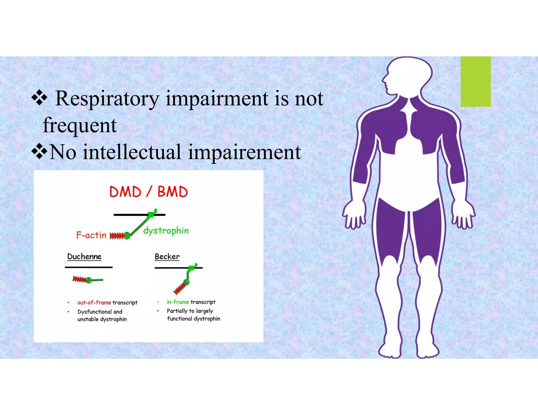 MUSCULAR DYSTROPHY PPT pdf | PDF
