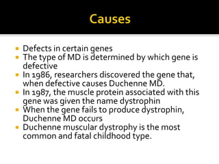 Causes<br />Defects in certain genes<br />The type of MD is determined by which gene is defective<br />In 1986, researcher...