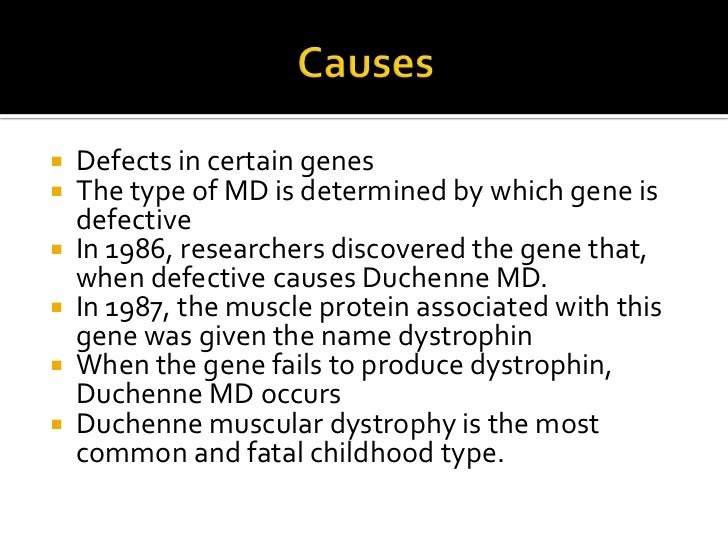 What are the different types of muscular dystrophy?