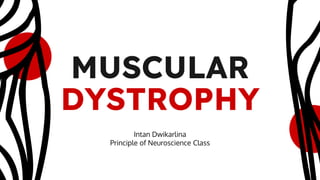 MUSCULAR
DYSTROPHY
Intan Dwikarlina
Principle of Neuroscience Class
 