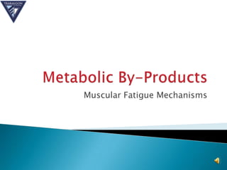 Muscular Fatigue Mechanisms
 