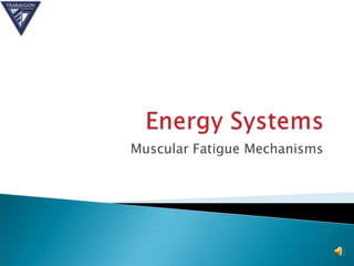 Muscular Fatigue Mechanisms
 