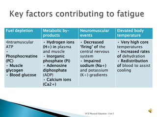 Fuel depletion    Metabolic by-     Neuromuscular                       Elevated body
                  products          events                              temperature
•Intramuscular    • Hydrogen ions   • Decreased                         • Very high core
ATP               (H+) in plasma    ‘firing’ of the                     temperatures
•                 and muscle        central nervous                     • Increased rates
Phosphocreatine   • Inorganic       system                              of dehydration
(PC)              phosphate (Pi)    • Impaired                          • Redistribution
• Muscle          • Adenosine       sodium (Na+)                        of blood to assist
glycogen          diphosphate       and potassium                       cooling
• Blood glucose   (ADP)             (K+) gradients
                  • Calcium ions
                  (Ca2+)




                                      VCE Physical Education - Unit 3
 