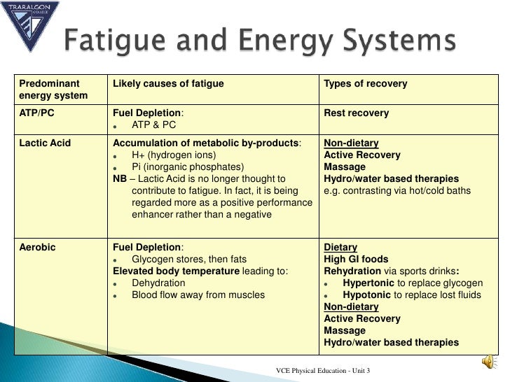 Muscular fatigue mechanisms 2011