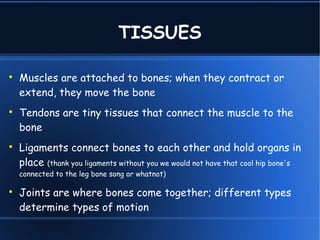 TISSUES


    Muscles are attached to bones; when they contract or
    extend, they move the bone

    Tendons are tiny tissues that connect the muscle to the
    bone

    Ligaments connect bones to each other and hold organs in
    place (thank you ligaments without you we would not have that cool hip bone's
    connected to the leg bone song or whatnot)


    Joints are where bones come together; different types
    determine types of motion
 