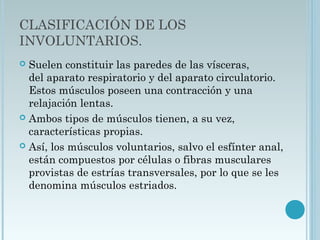 CLASIFICACIÓN DE LOS
INVOLUNTARIOS.
 Suelen constituir las paredes de las vísceras,
del aparato respiratorio y del aparato circulatorio.
Estos músculos poseen una contracción y una
relajación lentas.
 Ambos tipos de músculos tienen, a su vez,
características propias.
 Así, los músculos voluntarios, salvo el esfínter anal,
están compuestos por células o fibras musculares
provistas de estrías transversales, por lo que se les
denomina músculos estriados.
 