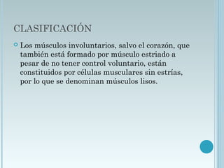 CLASIFICACIÓN
 Los músculos involuntarios, salvo el corazón, que
también está formado por músculo estriado a
pesar de no tener control voluntario, están
constituidos por células musculares sin estrías,
por lo que se denominan músculos lisos.
 