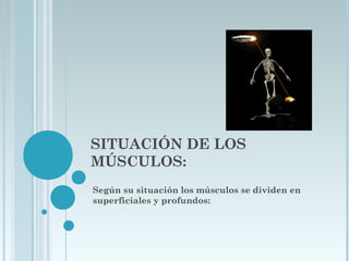 SITUACIÓN DE LOS
MÚSCULOS:
Según su situación los músculos se dividen en
superficiales y profundos:
 