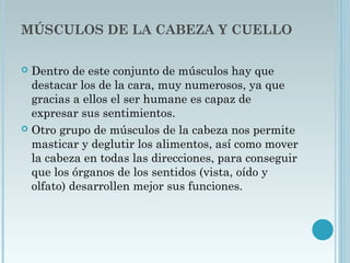 MÚSCULOS DE LA CABEZA Y CUELLO
 Dentro de este conjunto de músculos hay que
destacar los de la cara, muy numerosos, ya que
gracias a ellos el ser humane es capaz de
expresar sus sentimientos.
 Otro grupo de músculos de la cabeza nos permite
masticar y deglutir los alimentos, así como mover
la cabeza en todas las direcciones, para conseguir
que los órganos de los sentidos (vista, oído y
olfato) desarrollen mejor sus funciones.
 