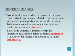 GENERALIDADES
 Los músculos son tejidos u órganos del cuerpo
caracterizado por la capacidad de contraerse, por
lo general en respuesta a un estímulo nervioso.
Todo músculo está envuelto por una capa de
tejido que se llama epimisio.
 Este tejido penetra el músculo entre los
fascículos musculares donde se llama perimisio
y ya dentro del fascículo muscular se le llama
endomisio. 
 