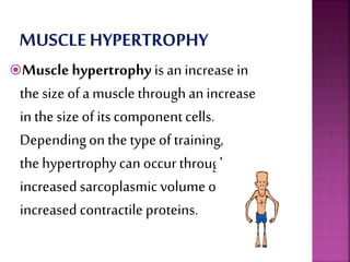 Muscle hypertrophy is an increase in
the size of a muscle through an increase
in the size of its componentcells.
Dependingon the typeof training,
the hypertrophycan occur through
increased sarcoplasmic volume or
increased contractile proteins.
 